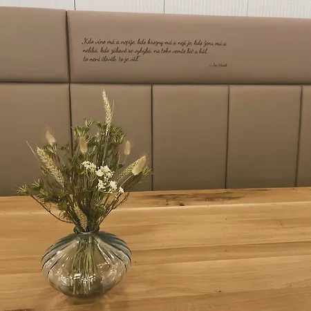 Sklep 38 Appart hôtel Velké Bílovice